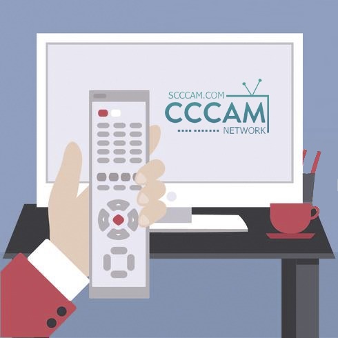 server cccam test
